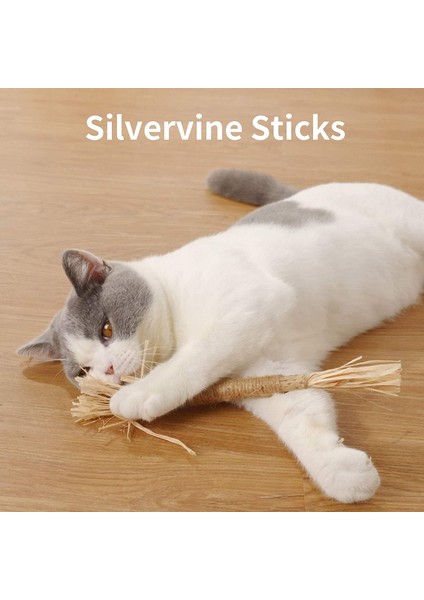 10 Parça Kedi Çiğneme Oyuncak Silvervine Çubukları (Yurt Dışından)