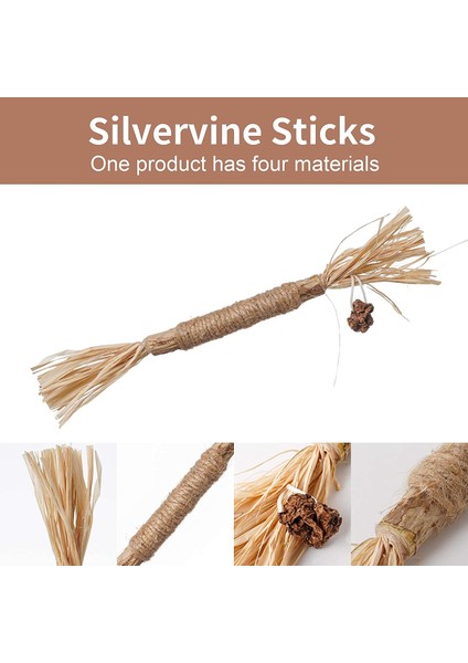 10 Parça Kedi Çiğneme Oyuncak Silvervine Çubukları (Yurt Dışından)