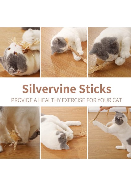 10 Parça Kedi Çiğneme Oyuncak Silvervine Çubukları (Yurt Dışından)
