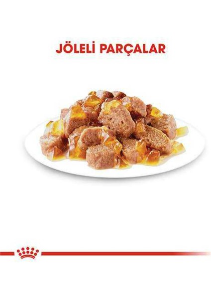 Jelly Kısırlaştırılmış Kedi Konservesi 12X85 gr fırsatları
