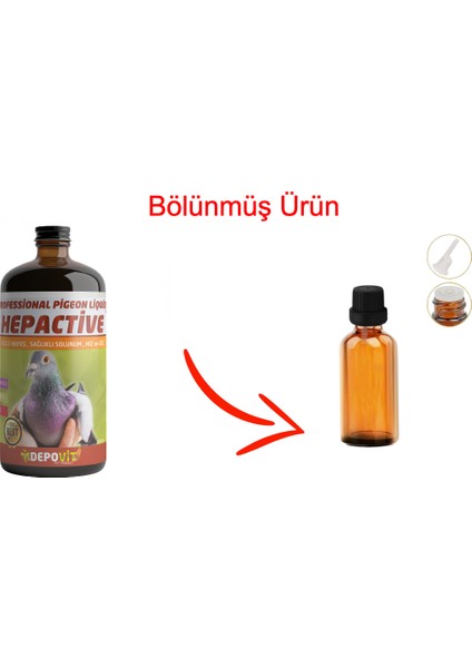 Hepactive Böbrek Karaciğer Koruyucu - 100 ml Bölünmüş