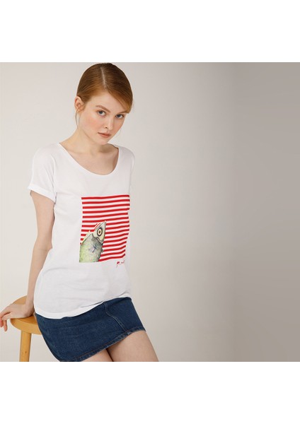 Pistachio Çizgi Desen Kadın T-Shirt M indirimleri