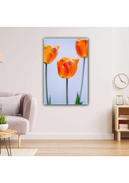 Gelincik Makro Çekim Dekoratif Modern Kanvas Tablo