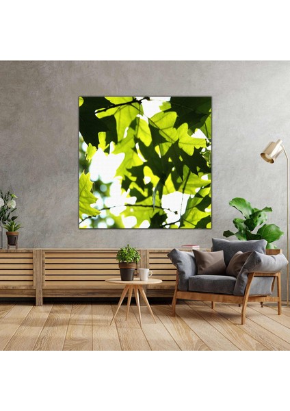 Makro Çekim Yeşil Yaprak Doğa Orman Manzara Kanvas Tablo