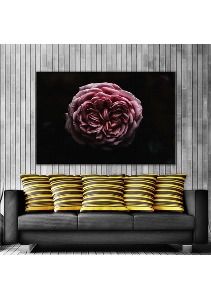 Sanatsal Gül Yaprakları Rose Kanvas Tablo