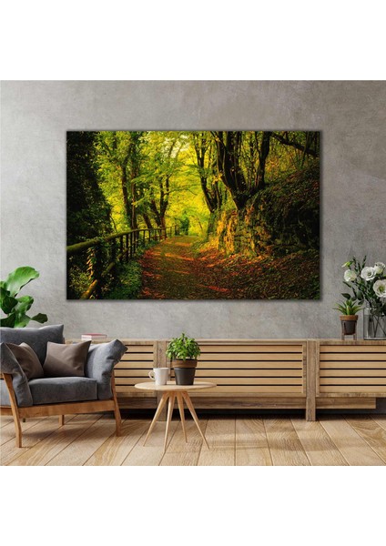 Orman Yürüyüş Yolu Yeşil Huzur Doğa Manzara Kanvas Tablo