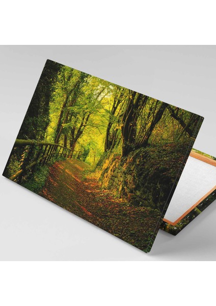 Orman Yürüyüş Yolu Yeşil Huzur Doğa Manzara Kanvas Tablo fiyatları