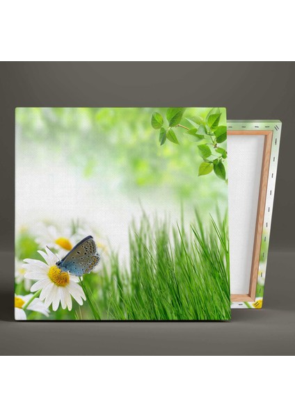 Papatyaya Konmuş Kelebek Makro Çekim Orman Yeşil Ağaç Huzur Manzara Kanvas Tablo fiyatları