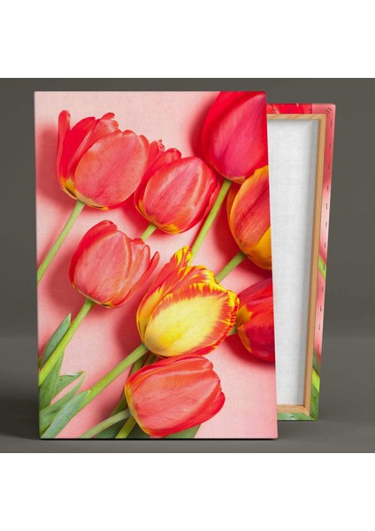 Çiçek Lale Gelincik Makro Yakın Çekim Doğa Kanvas Tablo fiyatları