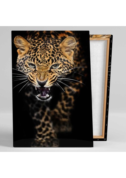 Vahşi Leopar Growlıng Leopard Afrika Aslan Kanvas Tablo