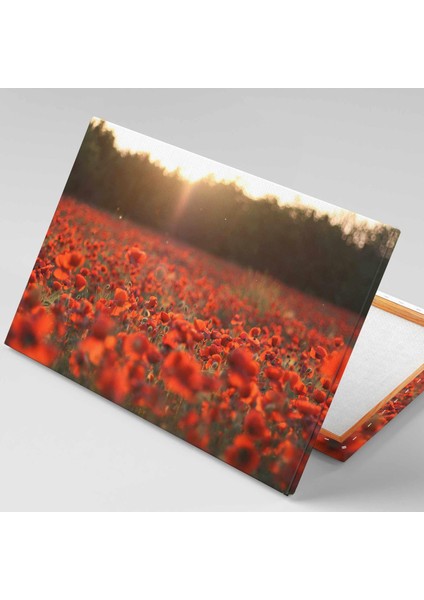 Gün Batımı Lale Bahçesi Kanvas Tablo fiyatları