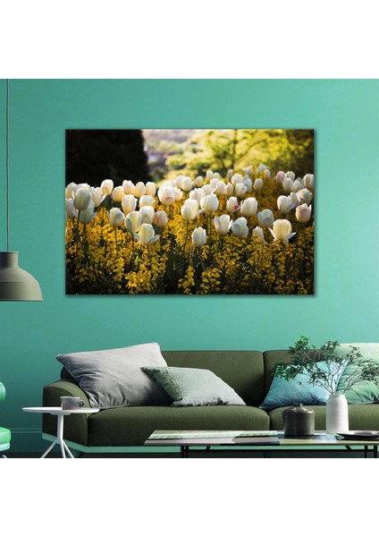 Beyaz Lale Bahçesi Doğa Manzara Çiçek Kanvas Tablo