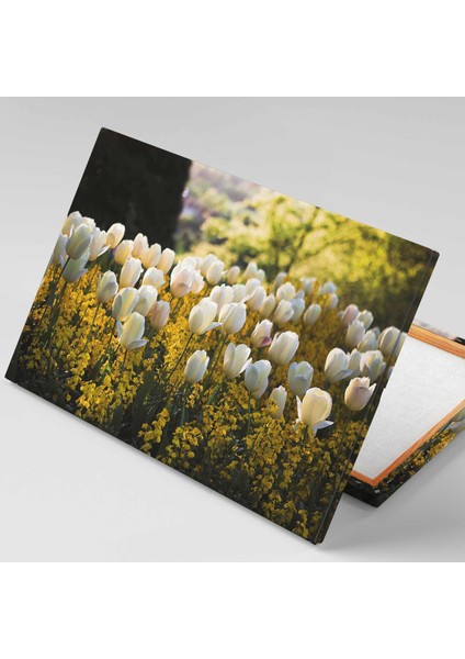 Beyaz Lale Bahçesi Doğa Manzara Çiçek Kanvas Tablo fiyatları