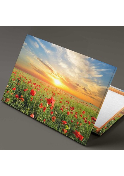 Yakın Çekim Gelincik Tarlası Doğa Manzara Kanvas Tablo fiyatları