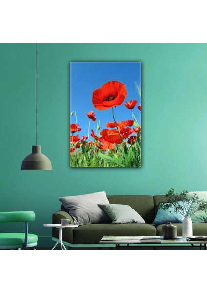 Gelincik Çiçeği Doğa Manzara Yakın Çekim Kanvas Tablo