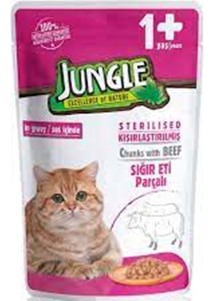 Pouch Sığır Eti Parçalı Kısırlaştırılmış Kedi Konservesi 100GR