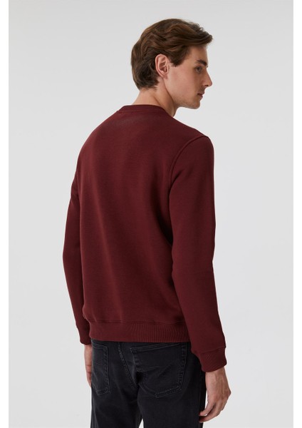 Rex Erkek Bisiklet Yaka Sweatshirt Mürdüm