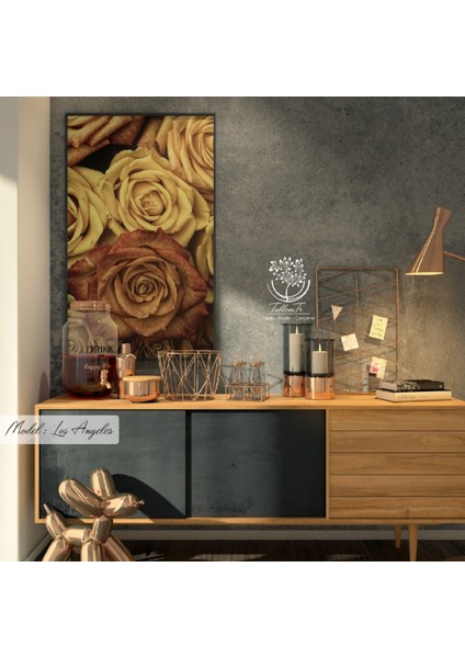 Metal Çerçeveli Gerçek Camlı Tablo Losangeles 1li Set