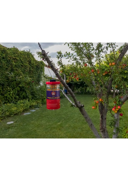 4 Adet Fly Jaıl | Long Jar, 1.5 Litre Kavanoz Tipi Karasinek Tuzağı