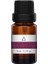 Night Woods Mum Kokusu 10ML 1