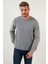 Pamuklu Regular Fit Bisiklet Yaka Sweat Erkek Sweat 59052111 1