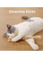 10 Parça Kedi Çiğneme Oyuncak Silvervine Çubukları (Yurt Dışından) 2