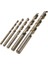 DIN338 Hss Matkap Ucu Altın Seri 1.1 mm 2