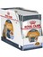 Intense Beauty Jelly Yetişkin Kedi Konserve 12X85 gr 1