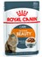 Intense Beauty Jelly Yetişkin Kedi Konserve 85 gr 1
