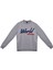 Sweatshirt 1