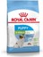 Xsmall Puppy Yavru Köpek Maması 3 kg 1
