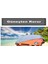 Kia Rio 1.5 Ex Dsl Sedan Advance 2006 Gümüş Renk Araba Brandası Prestij Serisi 3