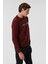 Rex Erkek Bisiklet Yaka Sweatshirt Mürdüm 2