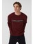 Rex Erkek Bisiklet Yaka Sweatshirt Mürdüm 3