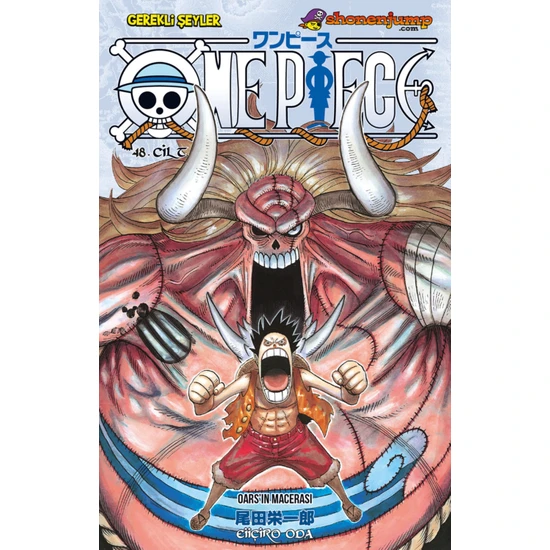 One Piece 48.cilt