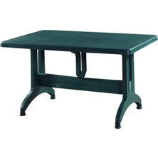 Almina Plastik Masa 80X140 Katlanır Plastik Ayaklı Bahçe Balkon ve Teras Masası