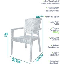 Almina Rattan Sandalye Kollu Koltuk Bahçe Balkon ve Teras Sandalyesi 4 Adet Antrasit