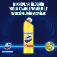 Domestos Çamaşır Suyu Yoğun Kıvamlı Formül Limon Ferahlığı Uzun Süreli Hijyen 750 mlX6