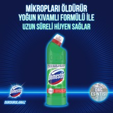 Domestos Yoğun Kıvamlı Çamaşır Suyu Maksimum Hijyen Dağ Esintisi 750 mlX6