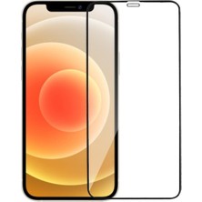 Hanedanev Apple iPhone 12 Pro Max 5d Tam Kaplayan Nano Ekran Koruyucu Cam - Ultra Ince K2