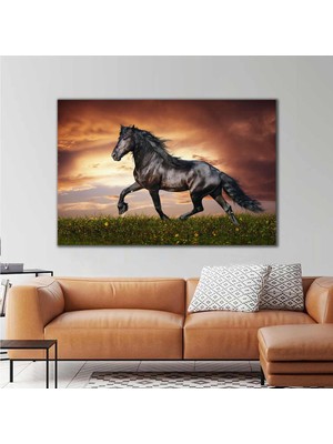 SML Tablo Bozkırda Gün Batımında Koşan At Hayvan Manzara Kanvas Tablo