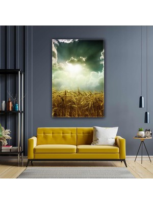SML Tablo Buğday Başak Gökyüzü Manzara Doğa Güneş Kanvas Tablo