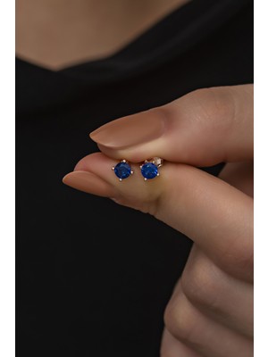Nereze 925 Ayar Gümüş Rose 4 mm Lacivert Taşlı Tektaş Küpe