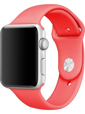 E2M  Silikon Apple Watch Kordon 42/44 mm