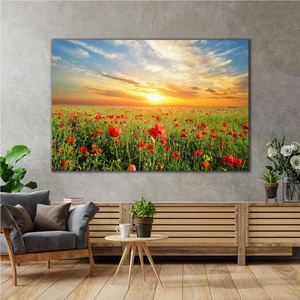 SML Tablo Yakın Çekim Gelincik Tarlası Doğa Manzara Kanvas Tablo