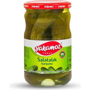 Salatalık Turşusu 720 ml 2 No
