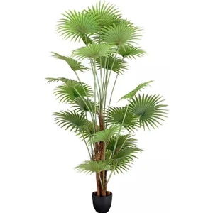Yapay Ağaç Palmiye Ağacı 200CM Dev Fanpalm Ağacı 17 Yaprak