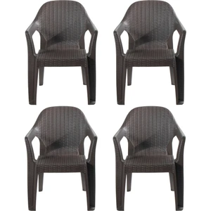 Rattan Sandalye 4 Kişilik Kollu Koltuk Bahçe Balkon Teras Sandalyesi