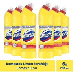 Çamaşır Suyu Yoğun Kıvamlı Formül Limon Ferahlığı Uzun Süreli Hijyen 750 mlX6