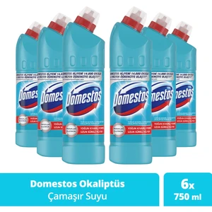 Çamaşır Suyu Yoğun Kıvamlı Formül Okaliptüs Ferahlığı Uzun Süreli Hijyen 750 mlX6